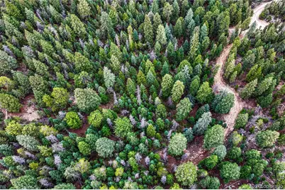 33864 Bergen View Trail, Evergreen, CO 80439 - Photo 19