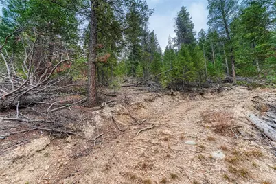 33864 Bergen View Trail, Evergreen, CO 80439 - Photo 11