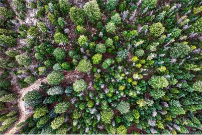 33864 Bergen View Trail, Evergreen, CO 80439 - Photo 17