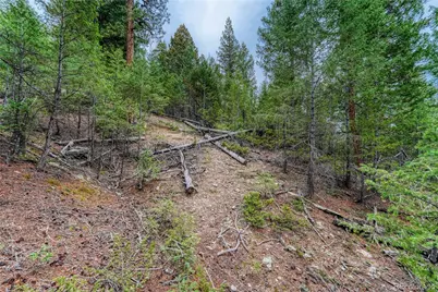 33864 Bergen View Trail, Evergreen, CO 80439 - Photo 25