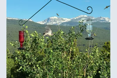 480 N County Road, Rollinsville, CO 80474 - Photo 47