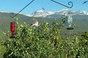 480 N County Rd, Rollinsville, CO 80474 - Photo 47