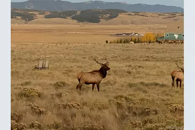 1793 Michigan Hill Road, Jefferson, CO 80456 - Photo 49