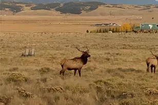 1793 Michigan Hill Rd, Jefferson, CO 80456 - Photo 49