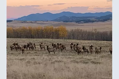 1793 Michigan Hill Road, Jefferson, CO 80456 - Photo 43