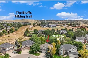 10722 Cougar Canyon, Lone Tree, CO 80124 - Photo 39