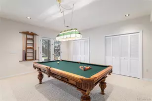 10722 Cougar Canyon, Lone Tree, CO 80124 - Photo 33