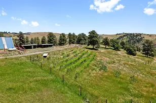 1044 S Grapevine Rd, Golden, CO 80401 - Photo 41