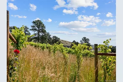 1044 S Grapevine Road, Golden, CO 80401 - Photo 43