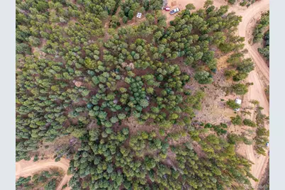 2288 Badger Drive, Larkspur, CO 80118 - Photo 13