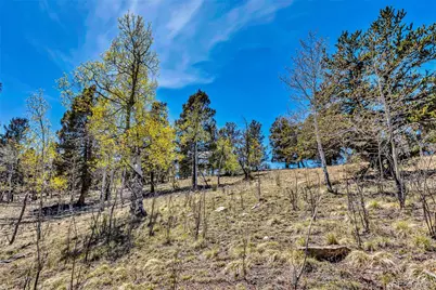5544 Middle Fork Vista, Fairplay, CO 80420 - Photo 33
