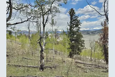 5544 Middle Fork Vista, Fairplay, CO 80420 - Photo 25