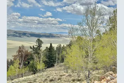 5544 Middle Fork Vista, Fairplay, CO 80420 - Photo 3