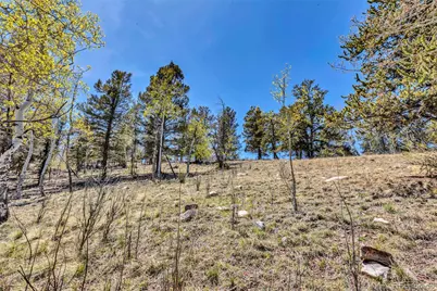 5544 Middle Fork Vista, Fairplay, CO 80420 - Photo 31