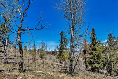 5544 Middle Fork Vista, Fairplay, CO 80420 - Photo 41