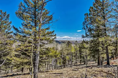 5544 Middle Fork Vista, Fairplay, CO 80420 - Photo 15