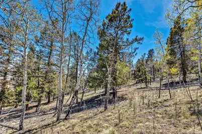 5544 Middle Fork Vista, Fairplay, CO 80420 - Photo 13