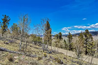 5544 Middle Fork Vista, Fairplay, CO 80420 - Photo 11