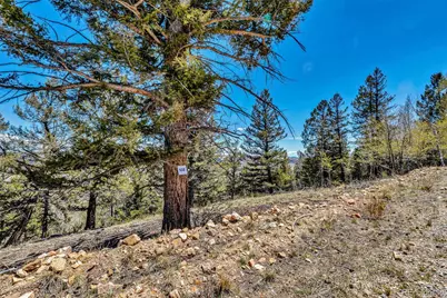 5544 Middle Fork Vista, Fairplay, CO 80420 - Photo 21