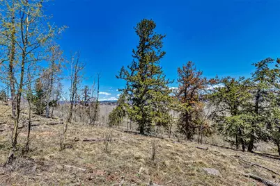 5544 Middle Fork Vista, Fairplay, CO 80420 - Photo 29