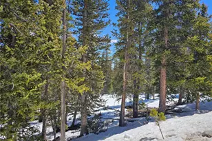 318 El Lobo Ln, Fairplay, CO 80440 - Photo 1