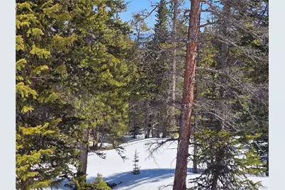 318 El Lobo Lane, Fairplay, CO 80440 - Photo 3