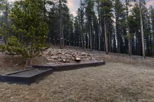 32663 Donna Dr, Conifer, CO 80433 - Photo 9