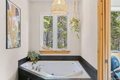 32663 Donna Drive, Conifer, CO 80433 - Photo 33