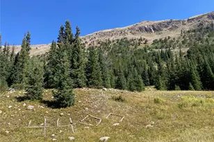 4400 4th of July Rd, Nederland, CO 80466 - Photo 1