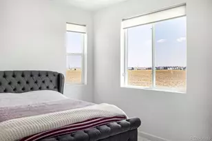 9667 Walden St, Commerce City, CO 80022 - Photo 33