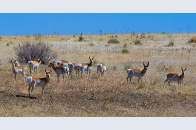 Last Dart Road, Kiowa, CO 80117 - Photo 11