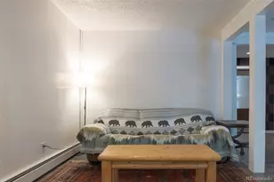 291 Doris Dr, Breckenridge, CO 80424 - Photo 39