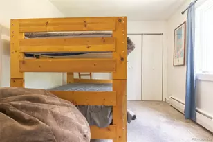 291 Doris Dr, Breckenridge, CO 80424 - Photo 23