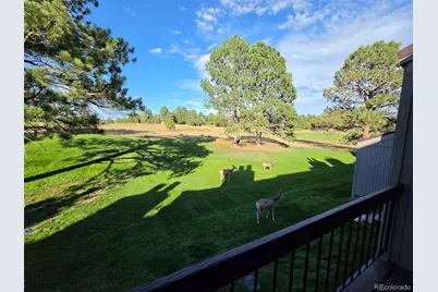 6480 Pinewood Drive, Parker, CO 80134 - Photo 5