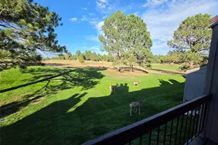 6480 Pinewood Dr, Parker, CO 80134 - Photo 5