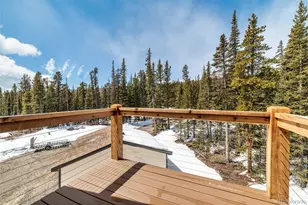 526 Porcupine Rd, Fairplay, CO 80440 - Photo 33