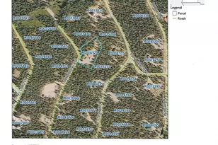 526 Porcupine Rd, Fairplay, CO 80440 - Photo 45