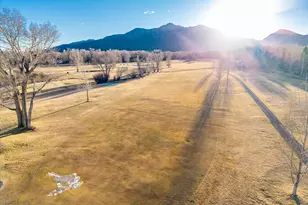 15745 Birdie Ln, Buena Vista, CO 81211 - Photo 49