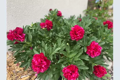 15745 Birdie Lane, Buena Vista, CO 81211 - Photo 41