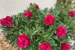 15745 Birdie Ln, Buena Vista, CO 81211 - Photo 41