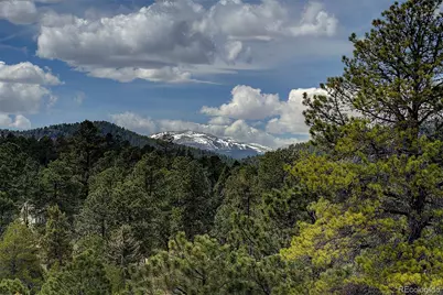 27987 Richmond Hill Road, Conifer, CO 80433 - Photo 3
