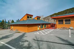 56 Magnum Bonum Dr, Breckenridge, CO 80424 - Photo 41