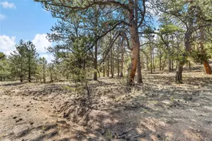 2120 Oxford Dr, Hartsel, CO 80449 - Photo 21
