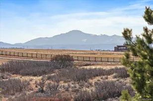 7273 Lemon Gulch Way, Castle Rock, CO 80108 - Photo 23