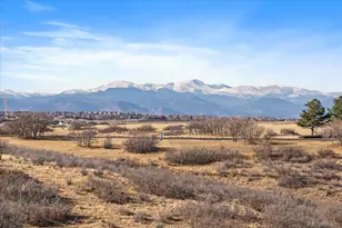 7273 Lemon Gulch Way, Castle Rock, CO 80108 - Photo 25