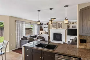 10209 Woodrose Ct, Highlands Ranch, CO 80129 - Photo 13