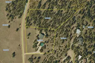 1948 & 2000 Wagon Wheel Rd, Hartsel, CO 80449 - Photo 37