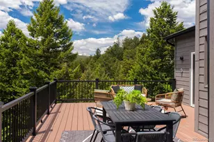 33510 Puma Crst, Evergreen, CO 80439 - Photo 43