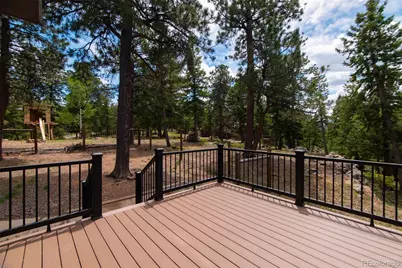33510 Puma Crest, Evergreen, CO 80439 - Photo 45