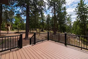 33510 Puma Crst, Evergreen, CO 80439 - Photo 45